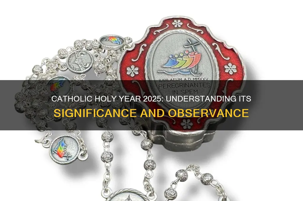 what is the catholic holy year 2025