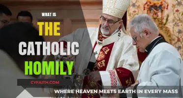 Understanding the Catholic Homily: Purpose, Structure, and Spiritual Significance