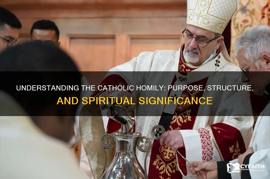 what is the catholic homily