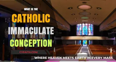 Understanding the Catholic Doctrine of Immaculate Conception: A Comprehensive Guide