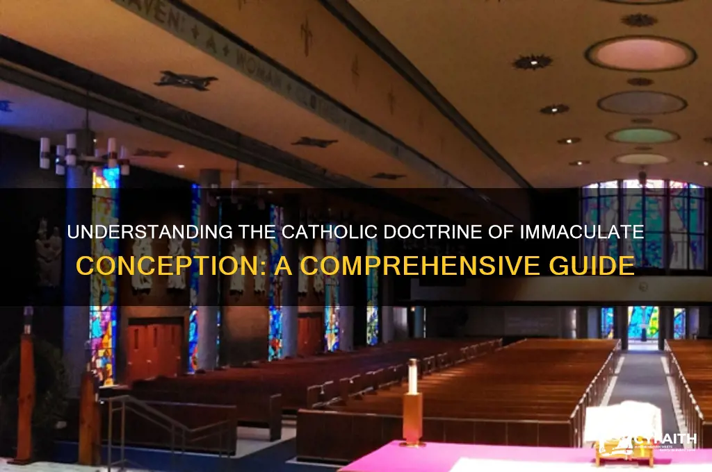 what is the catholic immaculate conception