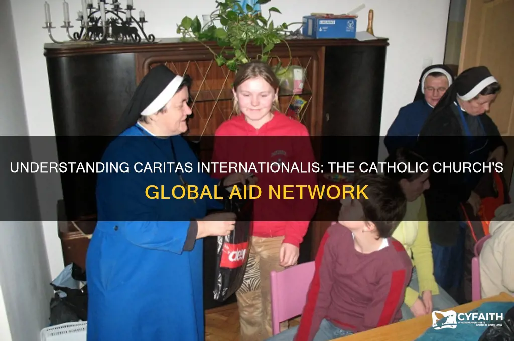 what is the catholic international aid organization