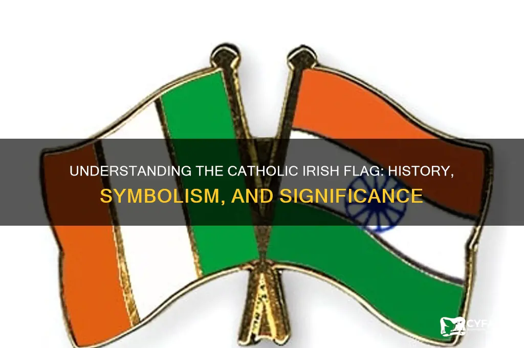 what is the catholic irish flag