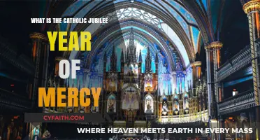 Understanding the Catholic Jubilee Year of Mercy: A Divine Celebration