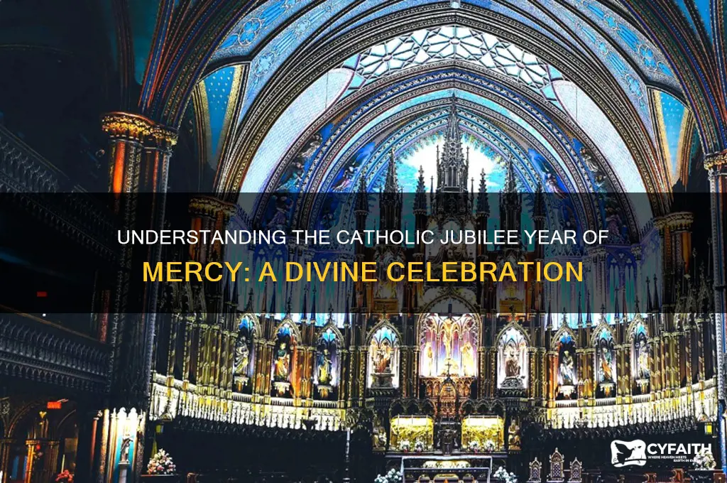 what is the catholic jubilee year of mercy