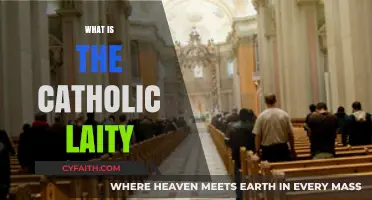 Understanding the Role and Mission of the Catholic Laity Today