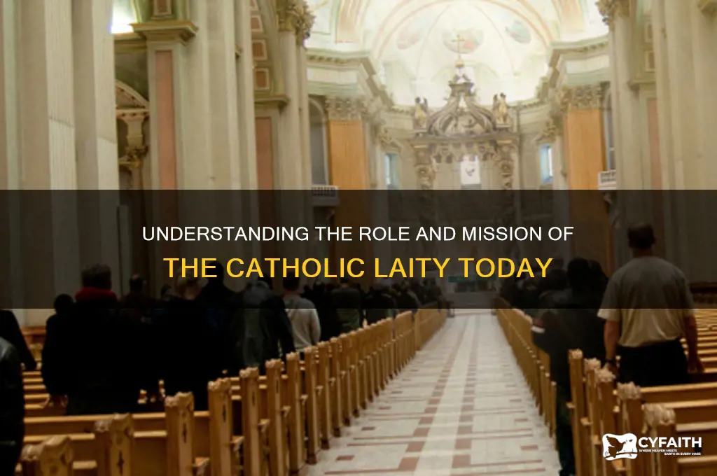 what is the catholic laity