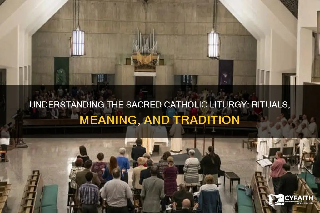 what is the catholic liturgy