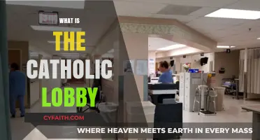 Understanding the Catholic Lobby: Influence, Advocacy, and Faith in Politics