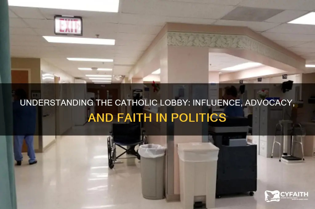 what is the catholic lobby
