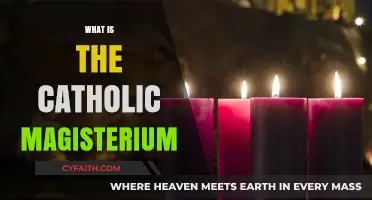 Understanding the Catholic Magisterium: Authority, Teaching, and Faith Explained