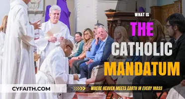 Understanding the Catholic Mandatum: Purpose, Requirements, and Significance