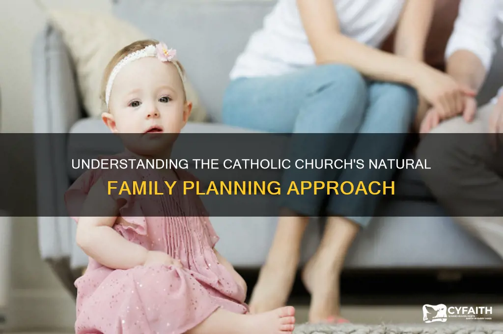 what is the catholic method of birth control