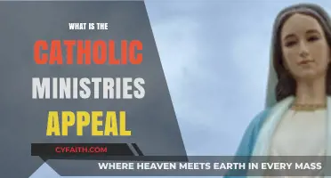 Understanding the Catholic Ministries Appeal: Purpose, Impact, and Faith in Action