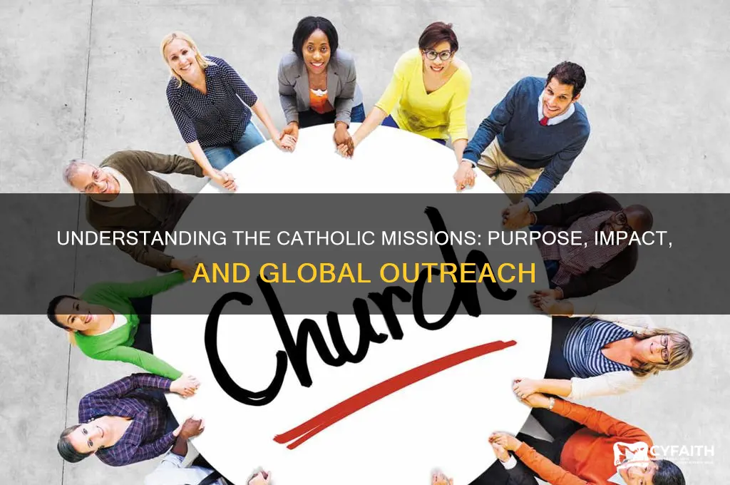what is the catholic missions mission