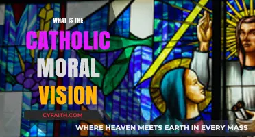 Understanding the Catholic Moral Vision: Principles, Values, and Ethical Teachings