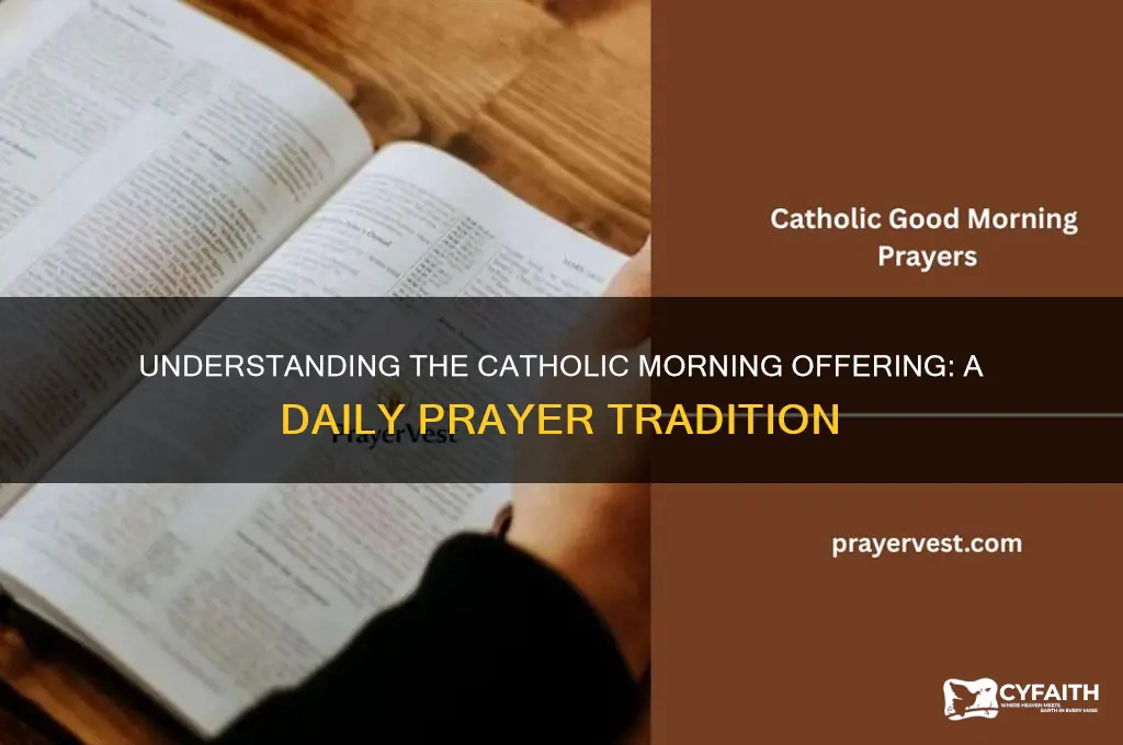 what is the catholic morning offering