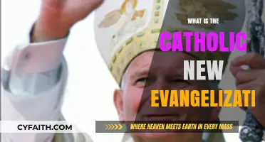 Understanding the Catholic New Evangelization: Mission, Methods, and Meaning