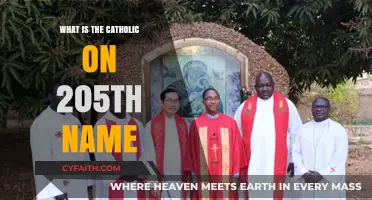 Exploring the Catholic Saint's Name Associated with 205th Day