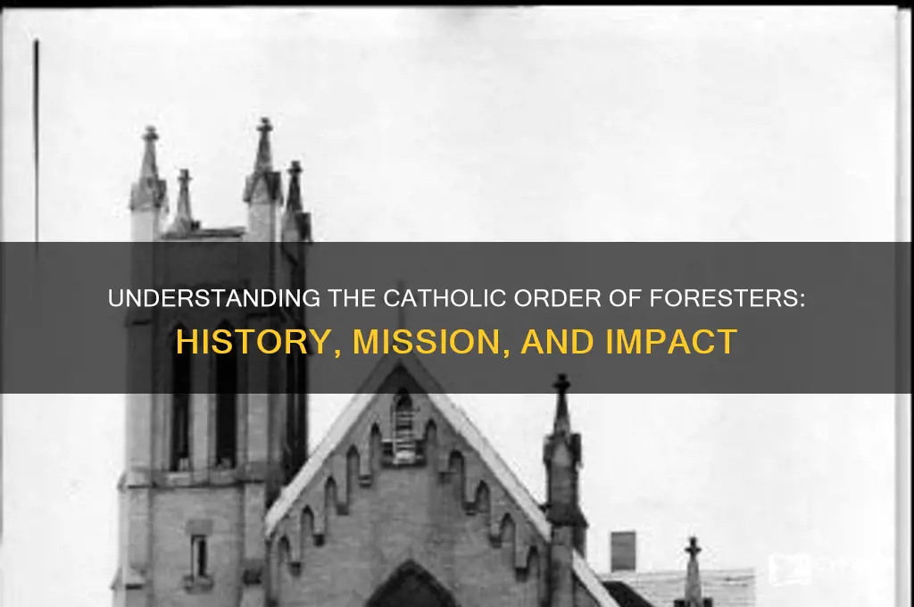 what is the catholic order of foresters
