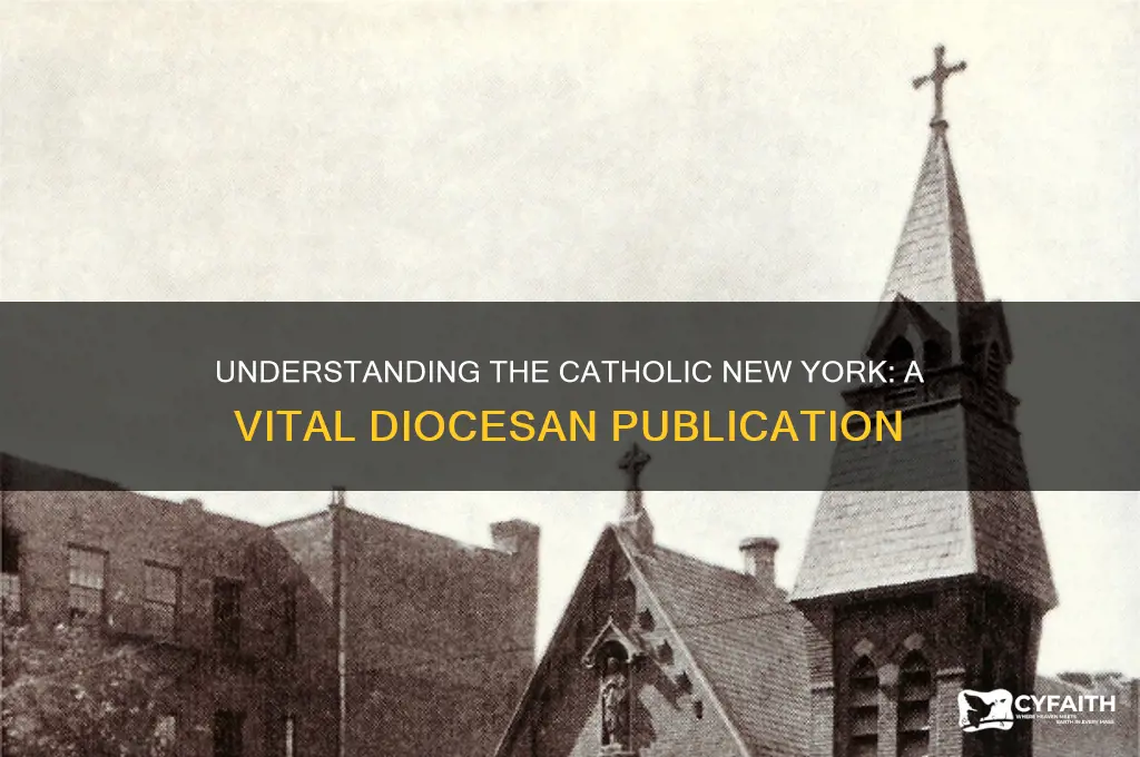 what is the catholic paper the catholic new york