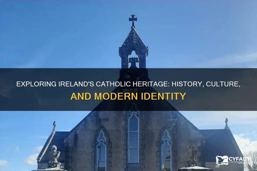 what is the catholic part of ireland
