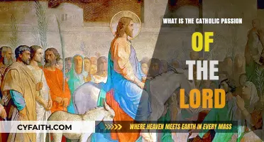 Understanding the Catholic Passion of the Lord: A Spiritual Journey