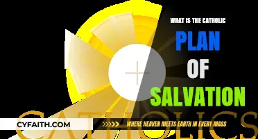Understanding the Catholic Plan of Salvation: Grace, Faith, and Works
