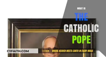 Understanding the Role and Significance of the Catholic Pope