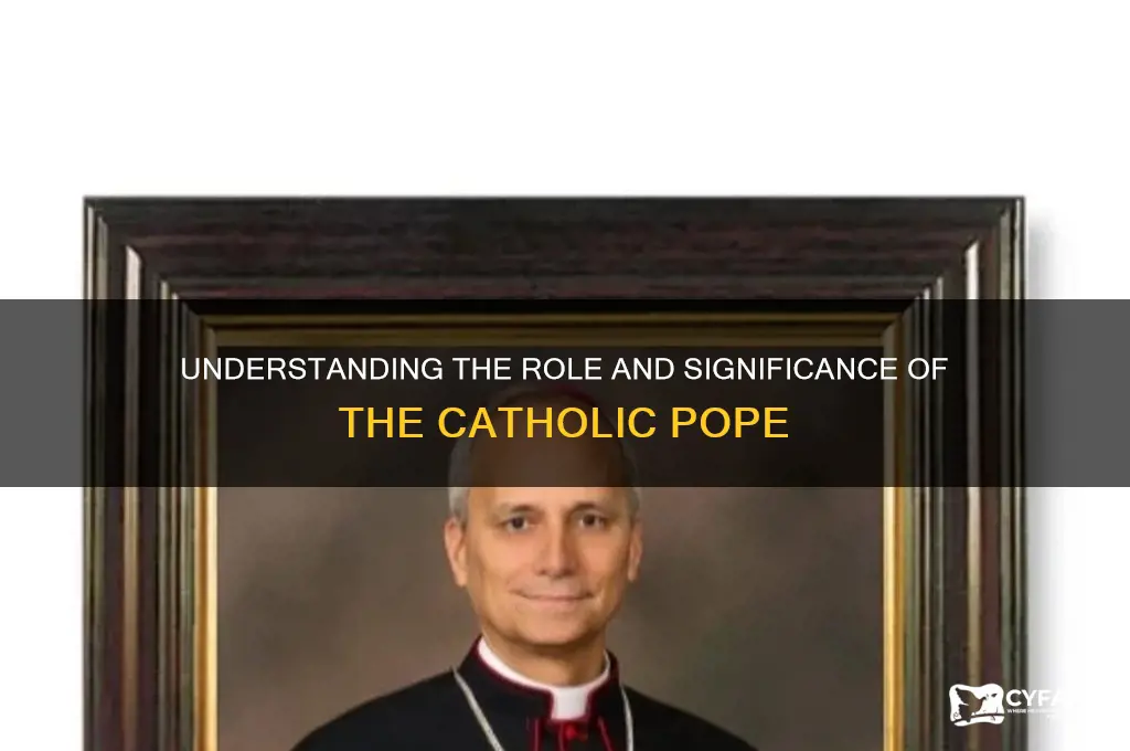 what is the catholic pope