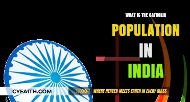 Exploring India's Catholic Community: Population Insights and Trends