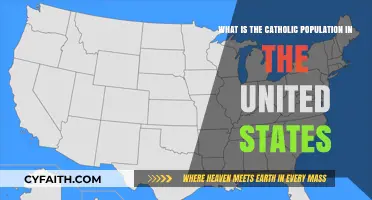 Understanding the Size and Impact of US Catholic Population Today
