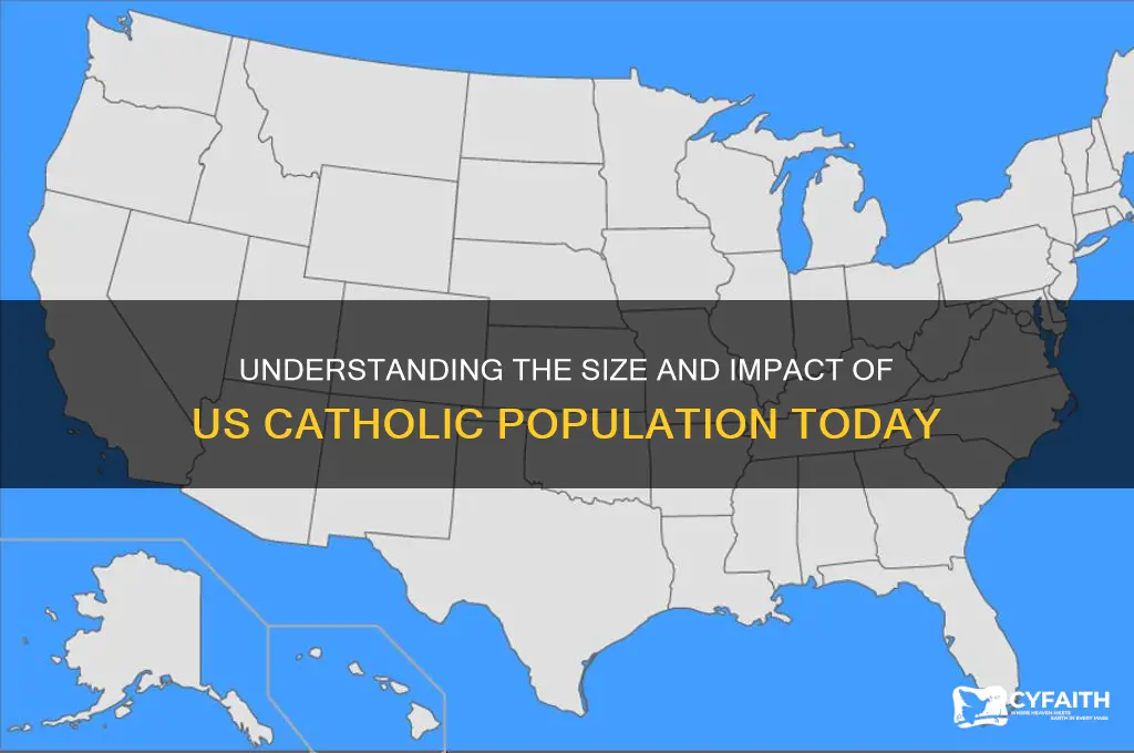 what is the catholic population in the united states