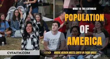 Exploring the Size and Influence of America's Catholic Population