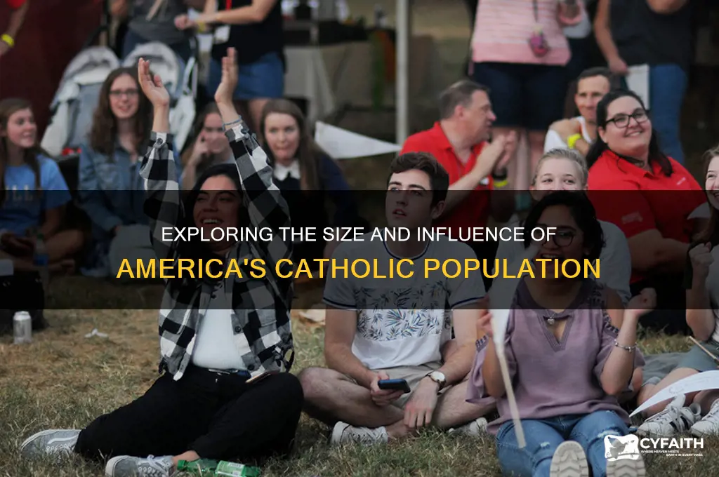what is the catholic population of america