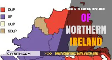 Exploring Northern Ireland's Catholic Population: Demographics and Trends