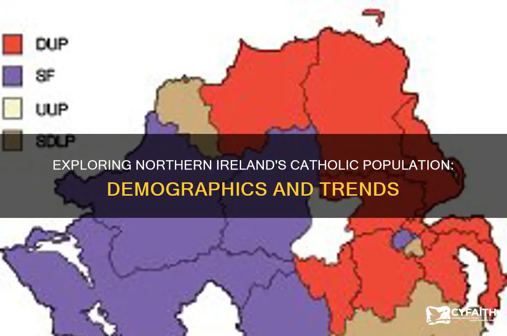 what is the catholic population of northern ireland