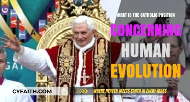 Catholic Church's Stance on Human Evolution: Faith and Science Explored