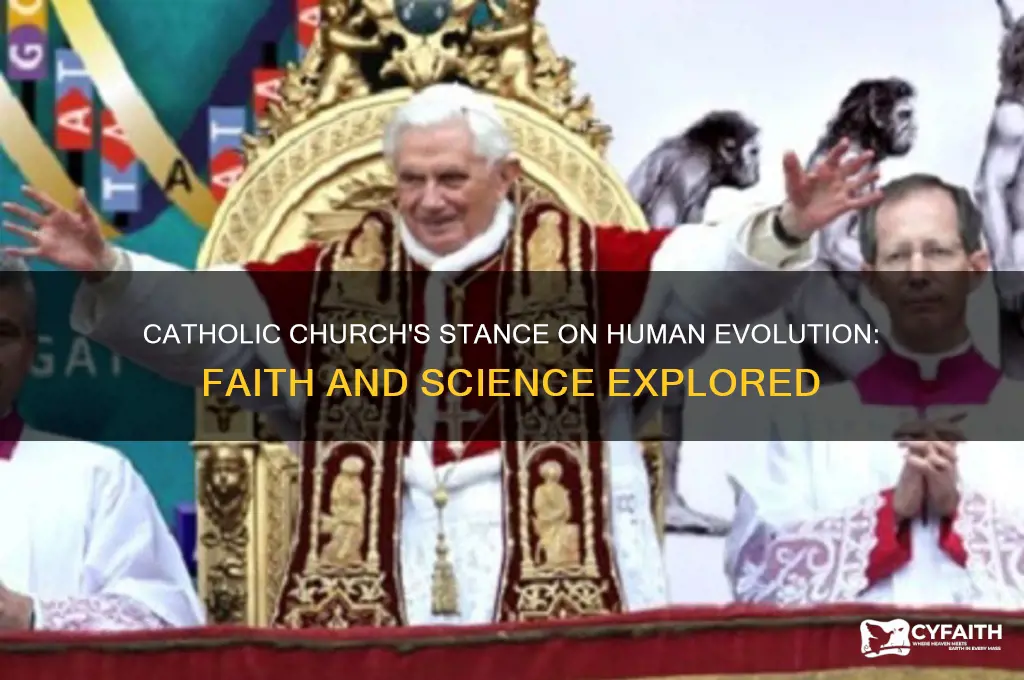 what is the catholic position concerning human evolution