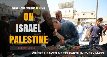 Catholic Church's Stance on Israel-Palestine Conflict: A Comprehensive Overview