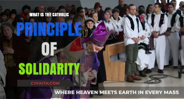 Understanding the Catholic Principle of Solidarity: Unity, Justice, and Love