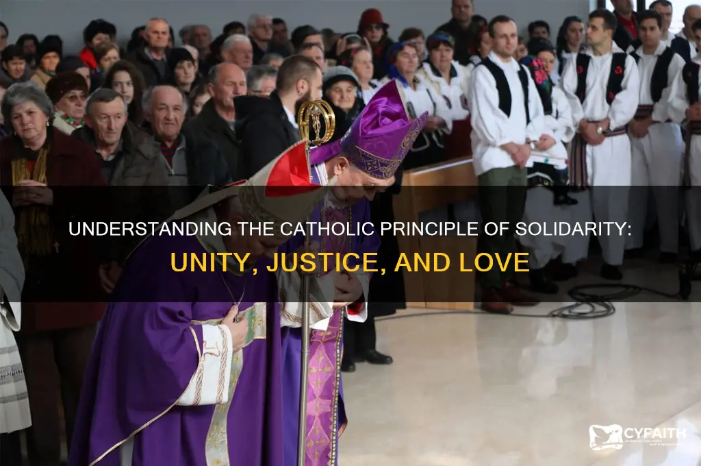 what is the catholic principle of solidarity