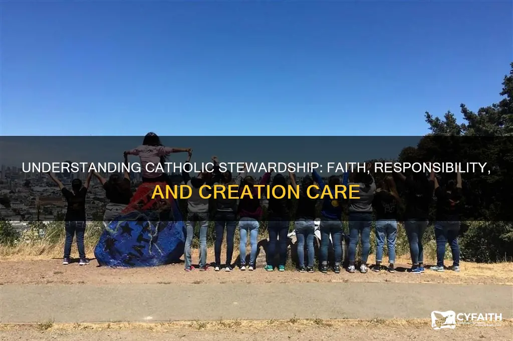 what is the catholic principle of stewardship