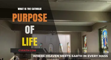 Understanding the Catholic Purpose of Life: Faith, Love, and Eternal Union