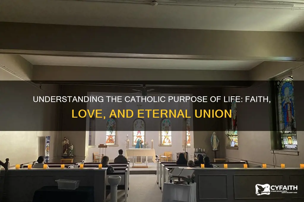 what is the catholic purpose of life