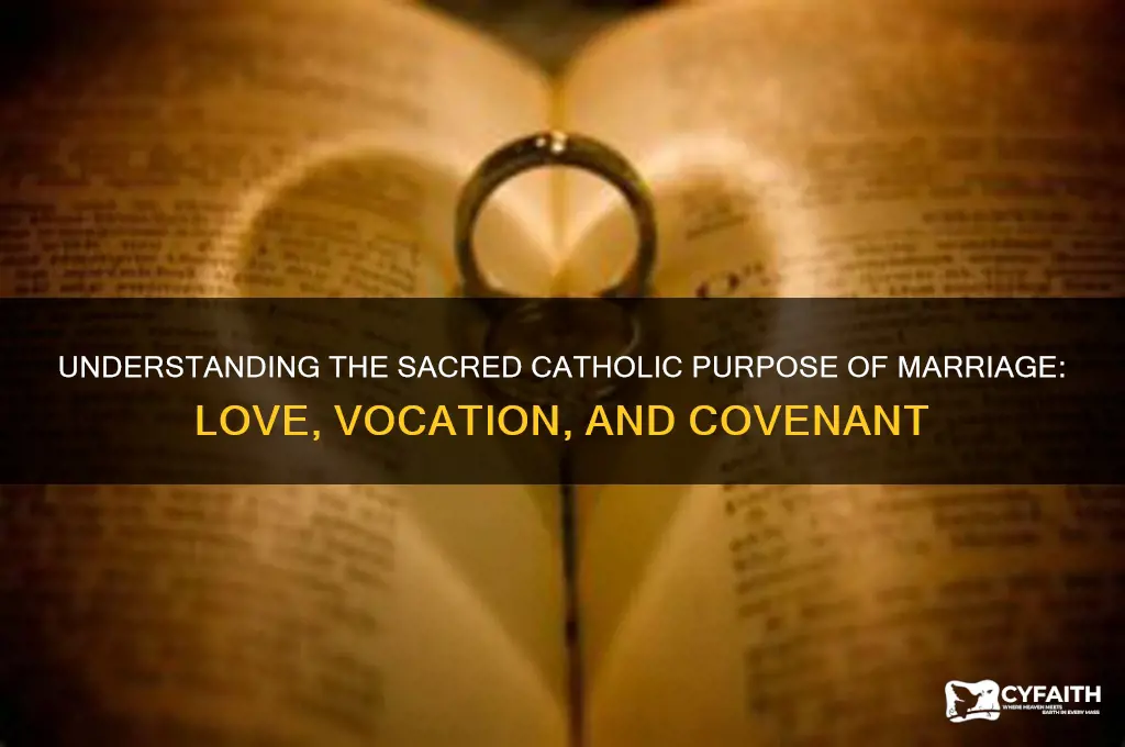 what is the catholic purpose of marriage