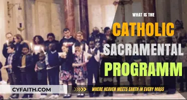 Understanding the Catholic Sacramental Programme: A Comprehensive Guide