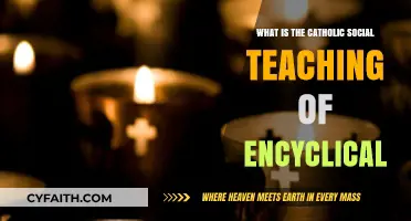 Understanding Catholic Social Teaching: Exploring the Encyclical's Core Principles