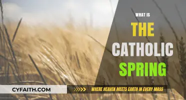 Understanding the Catholic Spring: A Movement for Church Reform and Renewal