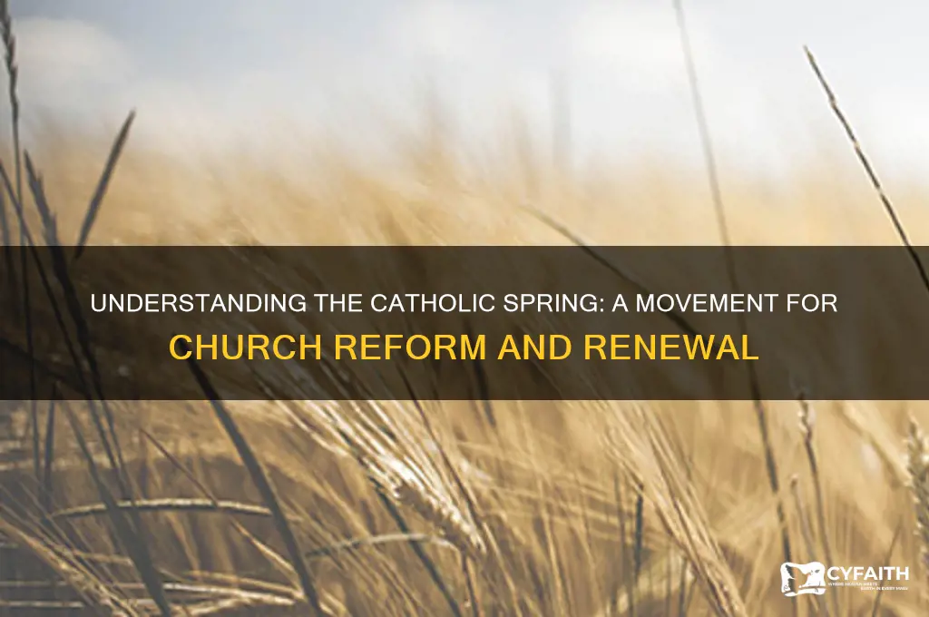what is the catholic spring